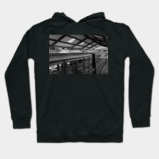 Rail carriages Hoodie